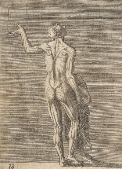 左手を腰に当て、皮を剥いだ男性、右手に皮膚を持っています。 1531-76。 作： Giulio Bonasone