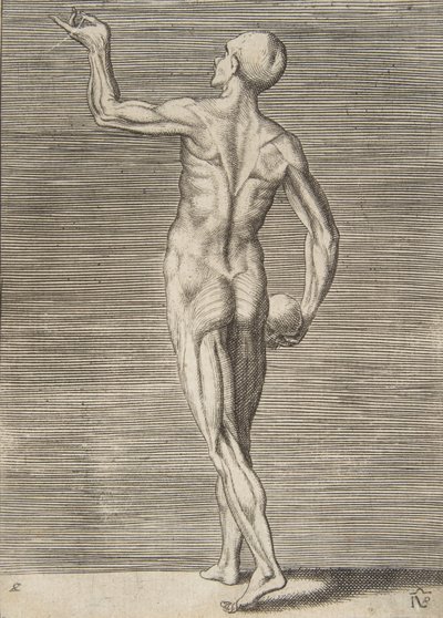 右手にドクロを持った後ろ姿の男性、16世紀。 作： Giulio Bonasone