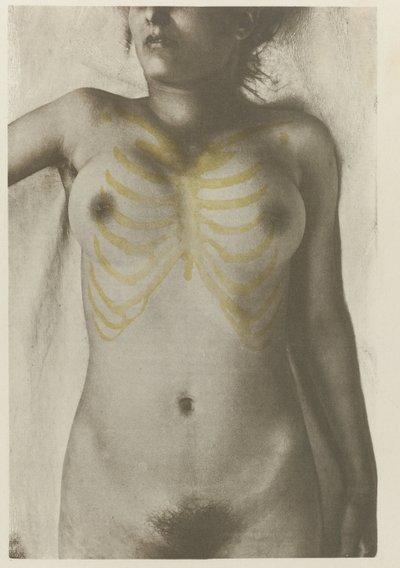 Anatomical foto van een vrouwelijk lijk: 