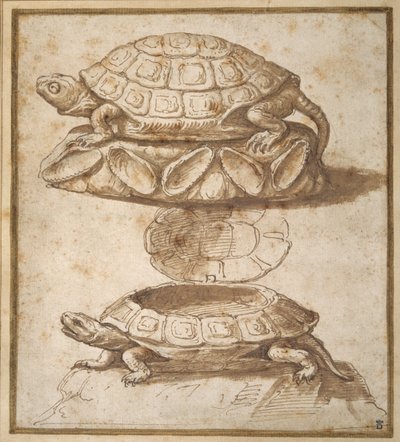 亀の形をした蓋付きの箱のデザイン（ペン、茶インク、茶ウォッシュ、紙 作： Giulio Romano