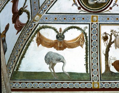1520年代のフレスコ画であるダチョウのディテールのキューピッドフリーズのカメラコンフレジオディアモリニチェンバー 作： Giulio Romano