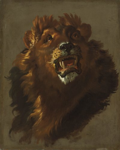 ライオン 作： Giuseppe Baldrighi