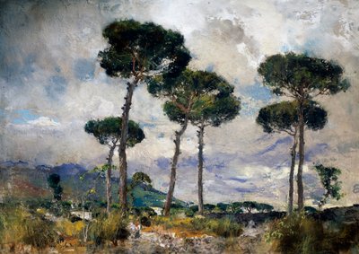 松の木 作： Giuseppe Casciaro