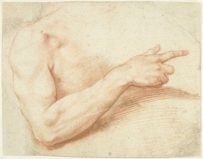 腕の研究 作： Giuseppe Cesari