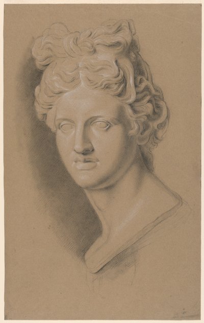 古典的な女性の胸像のキャストに関する学術的研究 作： Giuseppe Longhi