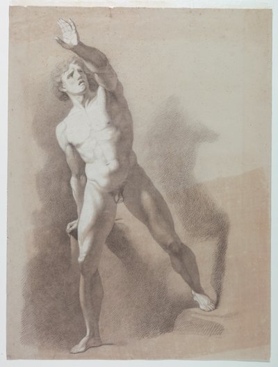 男性ヌードの学術的研究 作： Giuseppe Longhi