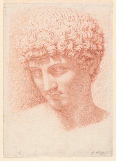 アポロの頭 作： Giuseppe Longhi
