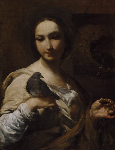 鳩を抱く少女、1721-27 作： Giuseppe Maria Crespi