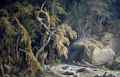 ジュゼッペ・ピエトロ・バジェッティ（1764-1831）の「木が根こそぎ生えている岩場の風景」。 作： Giuseppe Pietro Bagetti
