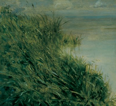 マーシュの研究 作： Giuseppe or Joseph de Nittis