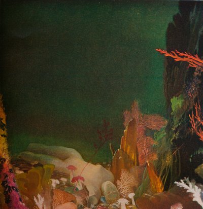 海の下、c1904-1924、1924 作： Glyn Warren Philpot