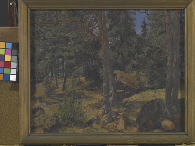モミの銀行 (キャンバスに油彩) 作： Gottfried Kallstenius