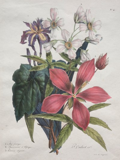 1825年、動物界の主要な種を含む自然史コース。 作： Gottfried or Godefroy Engelmann