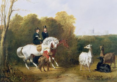 ビクトリア女王（1819-1901）とアルバート王子（1819-61）ウィンザーのハウスパークでラマを見る1845年頃 作： Gourlay Steel