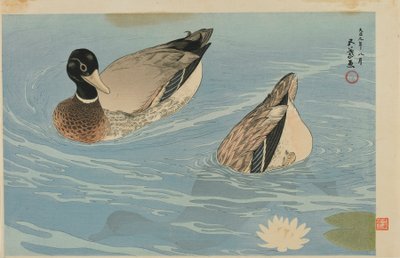 1920年8月、大正時代のアヒル（カラーの木版画） 作： Goyo Hashiguchi