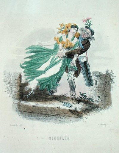 壁の花を盗む薬草使い」（「アニメの花」より）シャルル・ジェフロイ（1819-82）の版画作品 作： Grandville