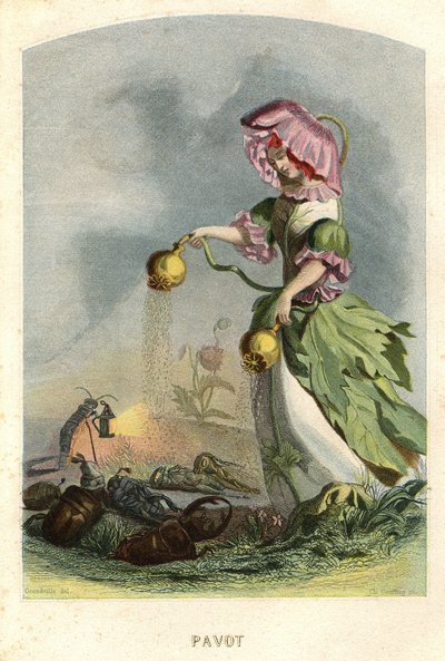 アニメの花」のイラストレーション 作： Grandville (1803 47)