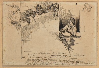 ル・ショレラムーシュ（紙に黒鉛、ペン、茶インク） 作： Grandville (1803-47)