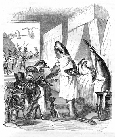 漫画魚座 - 医者：Grandville engraving, from the book "Private and public life of animals (Les animaux ints par eux memes)", Hetzel edition 1867 p. 551 - 病人の枕元にいるサメとノコギリザメ。 作： Grandville (1803 47)