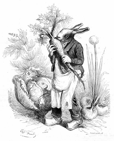 Grandville engraving, from the book "Private and public life of animals (Les animaux painted par eux memes)", Hetzel edition 1867.蹄をつけたウサギの庭師が菜園でニンジンをカリカリしたり、野菜（タマネギやキャベツ）を育てたりしている。 作： Grandville (1803 47)
