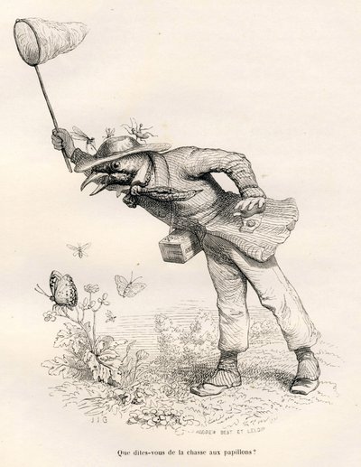 蝶を追う鳥。JJ Granvilleが描いたヴィネット。エングレーヴィングには、Charles Nodierが "Scenes de la vie privee et publique des animaux "の中で書いた "Un renard pris au piege "という部分にAndrew、Best、Leloirのサインが入っています。パリ、J.Hetzel 作： Grandville