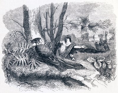 ラ・フォンテーヌの寓話「フィロメアとプローグネ 作： Grandville