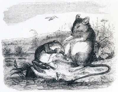 蛙と鼠 - ラ・フォンテーヌの寓話 作： Grandville