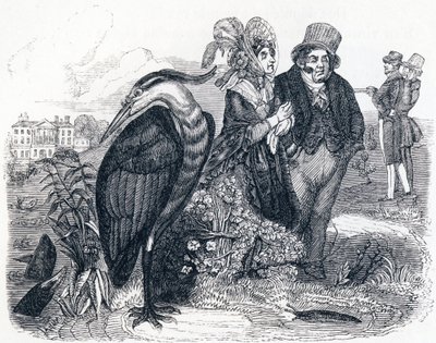 鷺（le Heron） - La Fontaineの寓話 作： Grandville