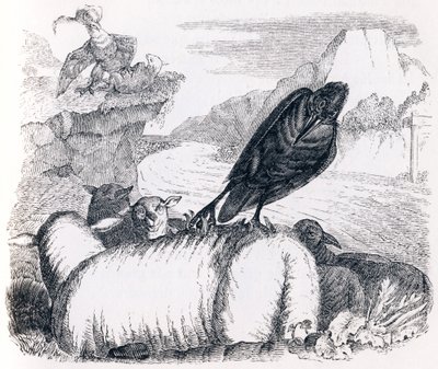 ワシの真似をしたいカラス（le corbeau voulant imiter l