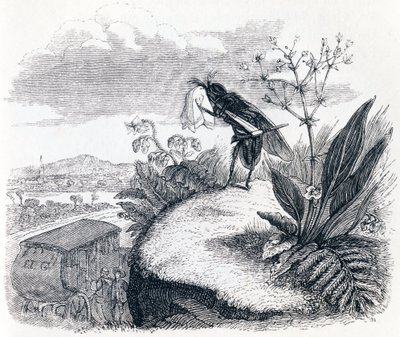 ダニとハエ - ラ・フォンテーヌの寓話 作： Grandville