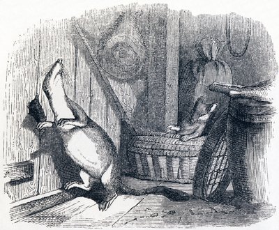 イタチは屋根裏に入る - La Fontaineの寓話 作： Grandville