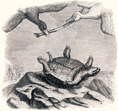 亀と二羽のアヒル（La tortue et les deux canards） - La Fontaineの寓話 作： Grandville