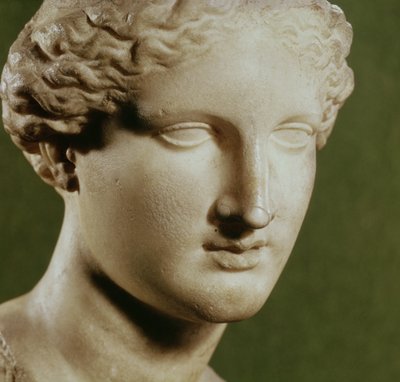 アルテミスの頭（大理石） 作： Greek