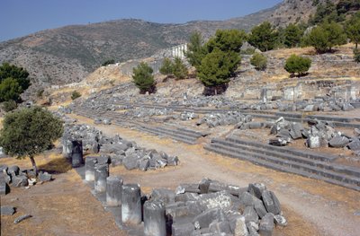 通りとアゴラの全体図 作： Greek School