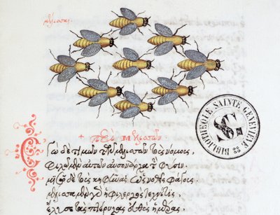 Ms 3402蜂、マヌエルフィレス作の獣医から、1566 作： Greek School