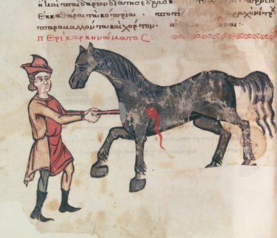 Ms Grec 2244 fol.37v馬での操作 作： Greek School