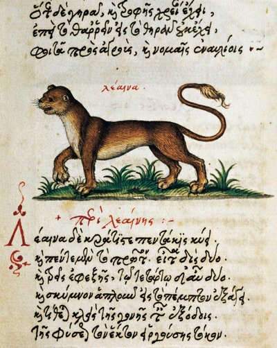 アエリアヌスの『動物の自然と所有権』からの「ライオンに関する論考」（テストとミニチュア）（AD2～3世紀 作： Greek School