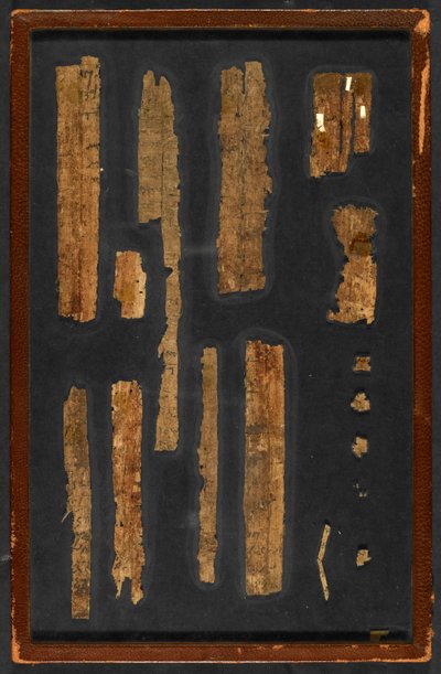 パピルス1532（6）、f.1v 作： Greek School