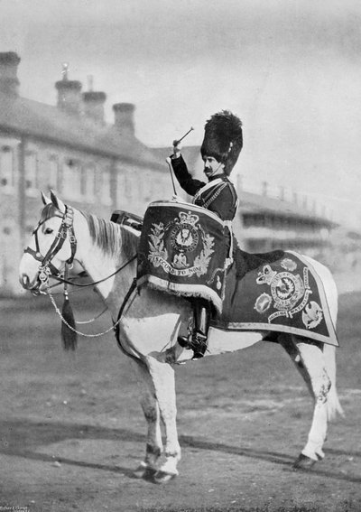 ロイヤルスコッツグレイの太鼓の馬、プラムダフ、1896年 作： Gregory and Co