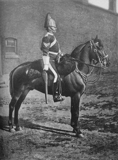 軍曹、第2竜騎兵衛兵クイーンズベイ、c1880 作： Gregory and Co
