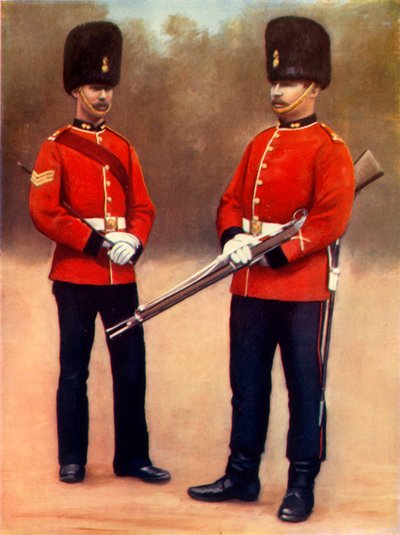 「デュビン フュージリアーズの軍曹と二等兵」、1900 年。 作： Gregory and Co