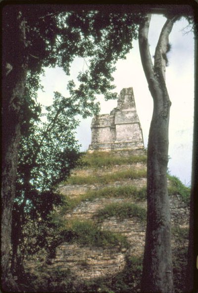 碑文の神殿c。 700AD 作： Guatemalan School
