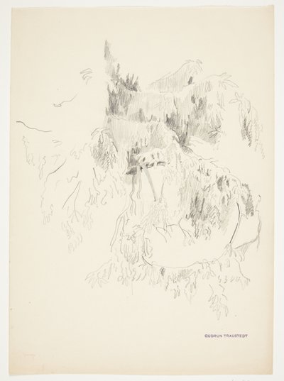 枝の研究 作： Gudrun Traustedt