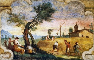 イル・グエルチーノ（1591-1666）として知られるジョヴァンニ・フランチェスコ・バルビエリのフレスコ画「収穫」。 作： Guercino
