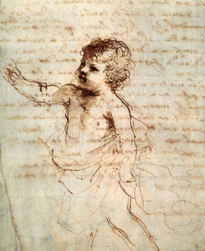 カーテン、17世紀の子供たち 作： Guercino