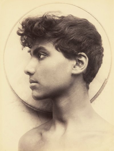 不明な画像 作： Guglielmo Plüschow