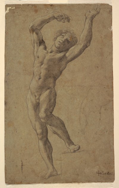 聖セバスチャンのための研究、Pomarici Santomasi Museum、Puglia、イタリア 作： Guido Reni
