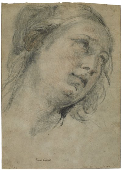 上向きの若い女性の頭、1609年頃（茶色の紙の上に白いチョークを加えた黒と赤のチョーク） 作： Guido Reni