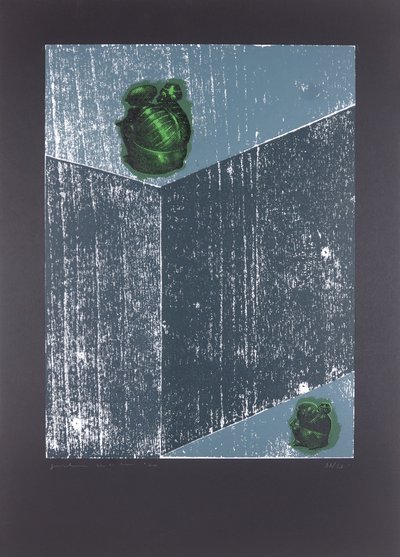 Invisible Room nº8, The Dream Of My Soul, 2019（木版画、シルクスクリーン） 作： Guilherme Pontes