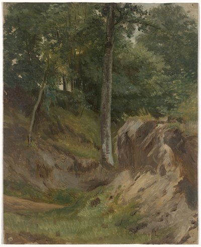 森の枯れ川 作： Guillaume Anne van der Brugghen